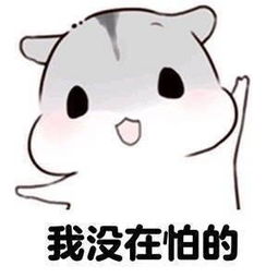  航小航照片航小航相册大全yy官方