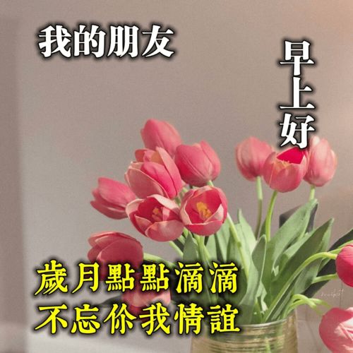  清晨早上好问候动画表情鲜花图片秋天早安问候动态鲜花图片表情大全
