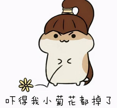  菊花之迷后门对一个人有多重要
