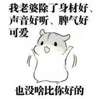 哄老婆搞笑表情包微信头像图片大全 哄老婆搞笑表情包微信头像图片大全