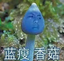 蓝瘦香菇表情包图片大全蓝瘦香菇什么梗表情包完整高清版腾牛下载