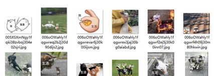 我和生活表情包我和生活表情图片高清版软件下载 我和生活表情包我和生活表情图片高清版软件下载