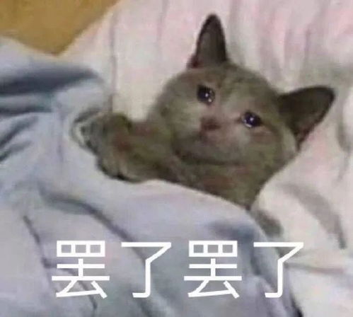  沙雕表情包第187期你也是大冤种吗