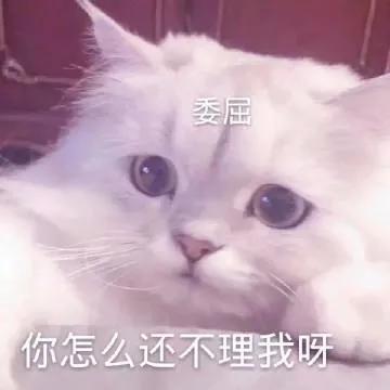 撒娇表情包跟男朋友撒撒娇零花钱少不了