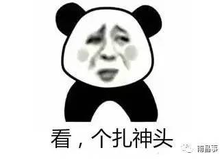  微信群斗图必备皮皮虾我们走,南昌宁专用表情包