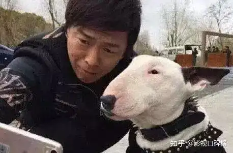 小欢喜黄磊隔空cue孙红雷像牛头梗,撞脸动物明星有哪些 小欢喜黄磊隔空cue孙红雷像牛头梗,撞脸动物明星有哪些