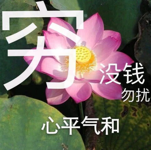 无水印表情包有糖尿病的的麻烦让一让,不要让他尝到一点甜头 无水印表情包有糖尿病的的麻烦让一让,不要让他尝到一点甜头