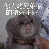  兄弟表情包