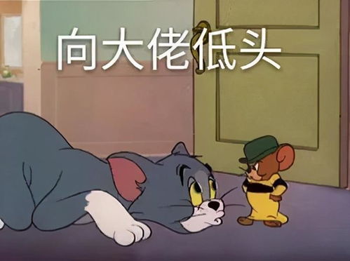  娱乐圈最新消息爆料,娘娘老公亲自陪富婆