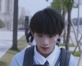  tf家族网剧念念,追不追