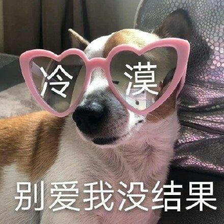  有哪些可爱又沙雕的狗子表情包