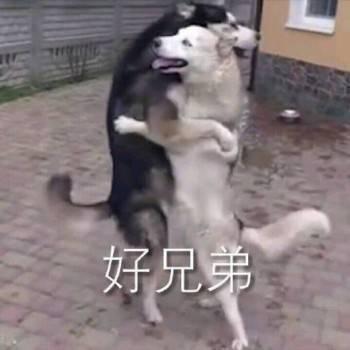 搞笑表情包姐妹同心,其利断金 搞笑表情包姐妹同心,其利断金