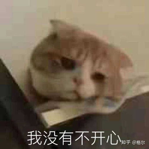  拥有一个对你爱答不理的好朋友是什么体验