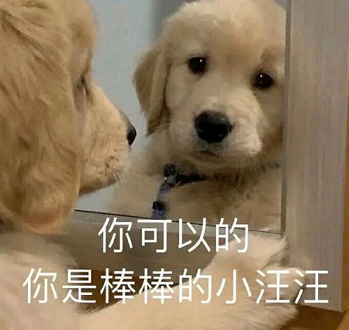  为了缓解朋友以及身后陌生女生们的紧张,我在鬼屋...