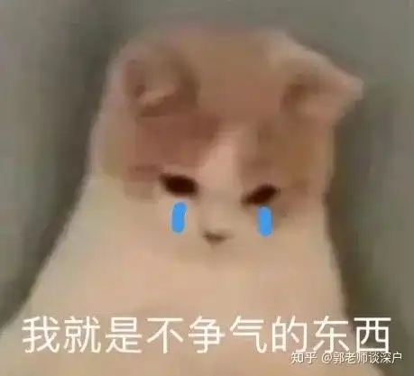 冰阔落表情包母亲节