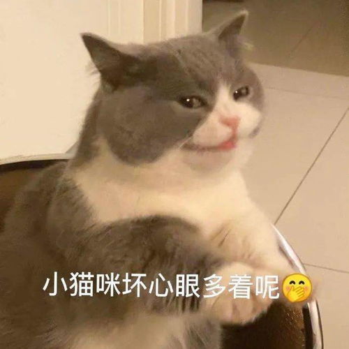  今日份治愈,不愧是世界上最可爱的毛孩子