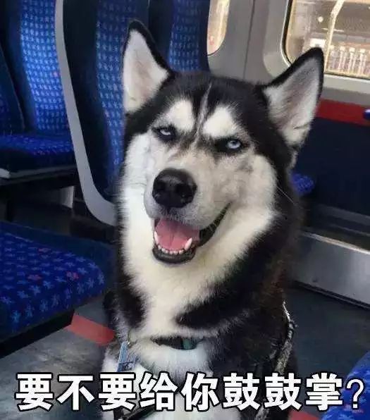 二哈用手指人表情包跑步