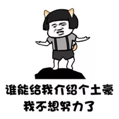  搞笑gif抖音谁有富婆介绍几个我不想努力了表情包