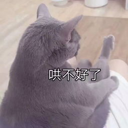 妹妹,你老公真不行 妹妹,你老公真不行