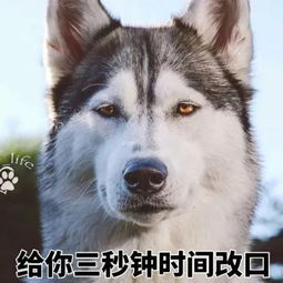  公开处刑是时候拉这些逗比出来溜溜了