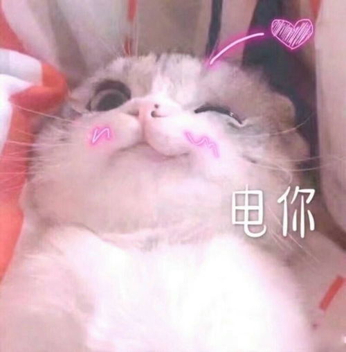 早报超有料丨中国女排重走十冠王之路imax春节档集结五部大片