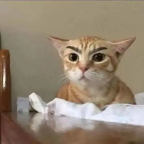 今天,我们重新再认识一下吧 今天,我们重新再认识一下吧