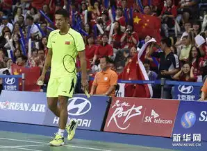  终极对决林丹逆转谌龙成功卫冕亚运羽毛球男单冠军高清组图5