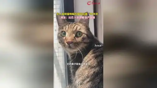 猫咪呕吐表情包窗帘