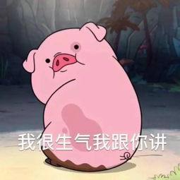  还在说猪脏看完这个或改变你对猪的看法
