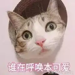 你知道开发商为什么喜欢年底交房吗 你知道开发商为什么喜欢年底交房吗