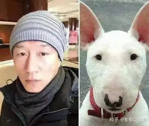 小欢喜黄磊隔空cue孙红雷像牛头梗,撞脸动物明星有哪些 小欢喜黄磊隔空cue孙红雷像牛头梗,撞脸动物明星有哪些