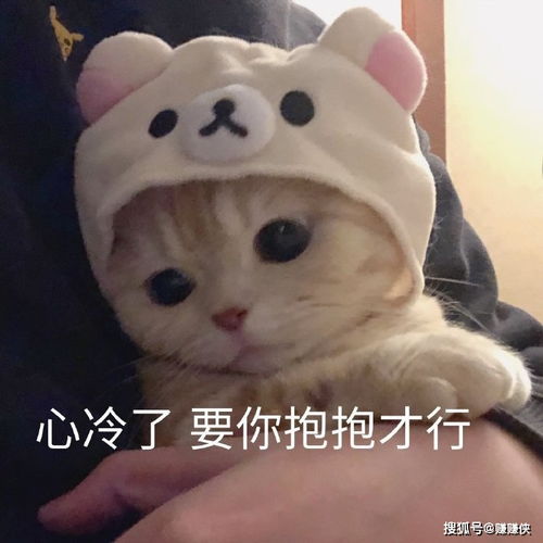  热门表情包图片这眼神绝了,弱小,可爱,又诱惑