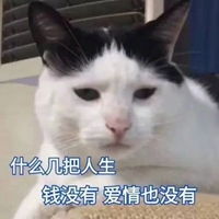  什么几把人生表情包