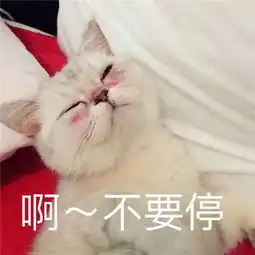 最新搞笑聊天表情包45你走吧,我妈不让我跟傻子玩 最新搞笑聊天表情包45你走吧,我妈不让我跟傻子玩