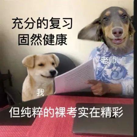  充分的复习固然健康,但纯粹的裸考实在精彩期末表情包