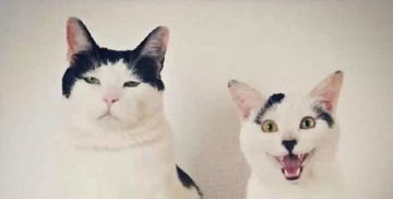  小勾five的微博微博