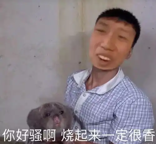 据说整个广东都在等像一个少女爆笑囧图 据说整个广东都在等像一个少女爆笑囧图