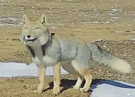 今日段子大学生是最容易养活的群体感觉啥都能凑合 今日段子大学生是最容易养活的群体感觉啥都能凑合