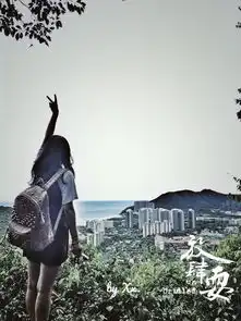 不羁爱自由我的海岛游记 不羁爱自由我的海岛游记