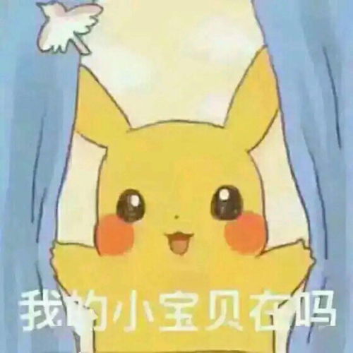  学生服务中心校友服务中心