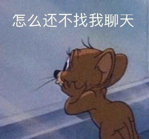 沙雕表情包配搞笑视频眯
