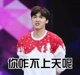  13名传销老总一锅端,庐阳区破获特大组织领导传销案