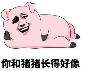 不关猪猪的事表情包下载不关猪猪的事表情包高清无水印版极光下载站