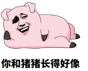不关猪猪的事表情包下载不关猪猪的事表情包高清无水印版极光下载站 不关猪猪的事表情包下载不关猪猪的事表情包高清无水印版极光下载站
