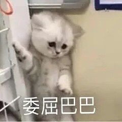  观海杂话铺从不懂文学到天上飞,各个年龄层上网都在冲哪片浪
