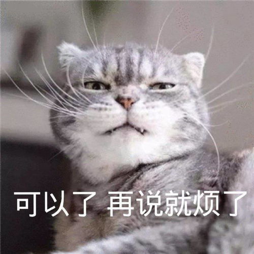  来一组怼人表情包合集