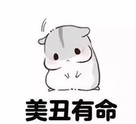  鸡年我们给你的最后一波福利