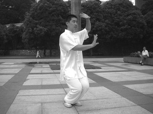  杨氏太极拳小架