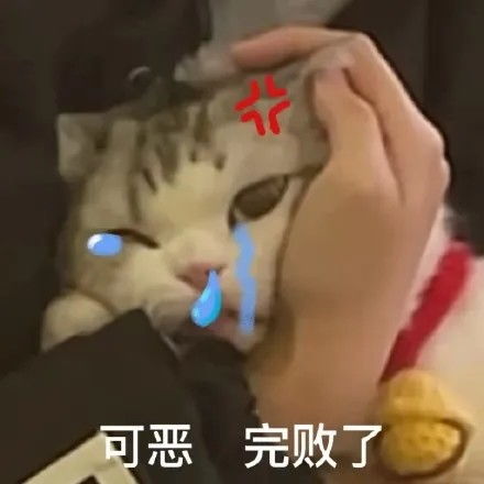  表情包好不容易心动一次,我却输得那么惨