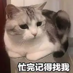 猫咪表情包打滚,撒娇,不要嫌弃我好吗 猫咪表情包打滚,撒娇,不要嫌弃我好吗